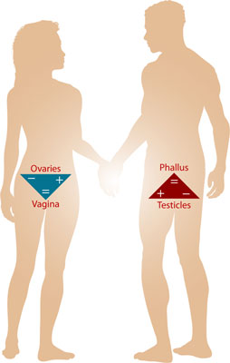 http://gnosticteachings.org/images/stories/anatomy/adam-and-eve-triangles.jpg