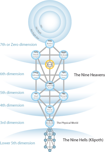 dimensions on the Tree of Life