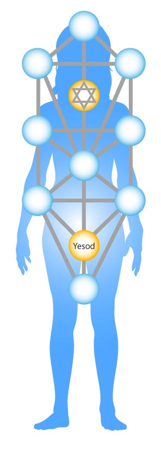 http://gnosticteachings.org/images/stories/kabbalah/yesod-body-cropped.jpg